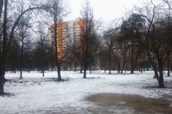 Кракен 24
