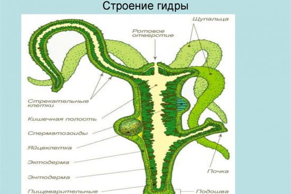 Кракен сайт kr2web in зарегистрироваться