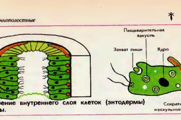 Кракен сайт маркетплейс