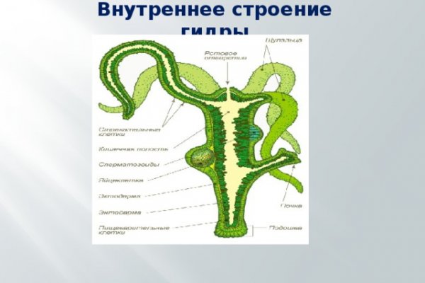 Ссылки даркнет